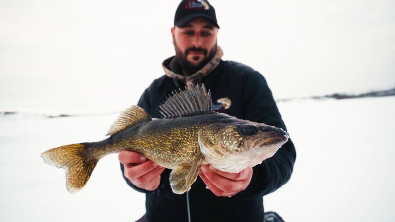 Catch the Thrill of Ice Fishing in the UK's Top Live Casinos in United Kigdom